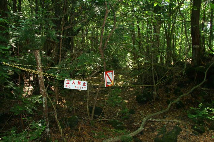 Suicide Forest of Japan