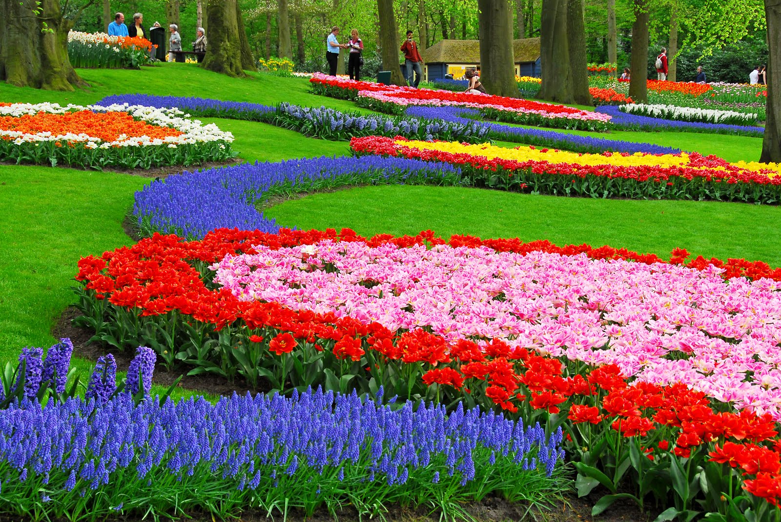world's largest flower garden