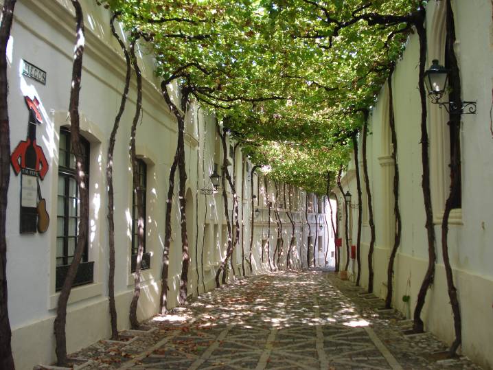 Street of Jerez